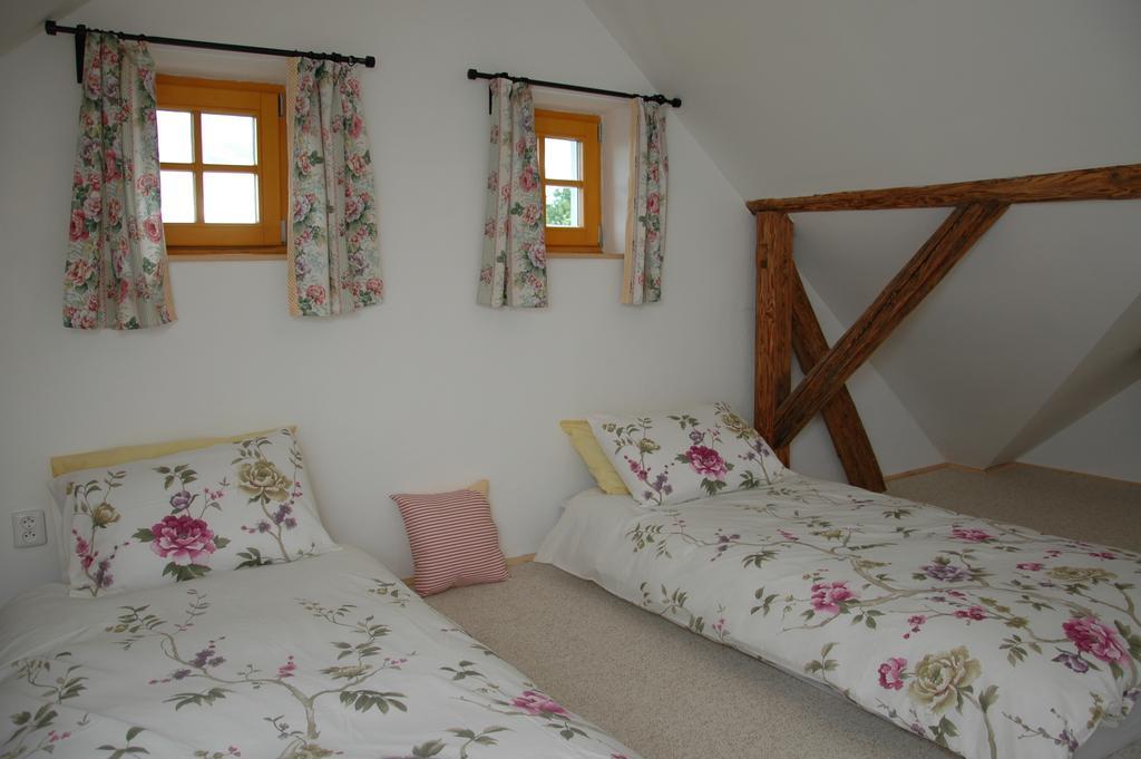 Boretinsky Statek Room photo